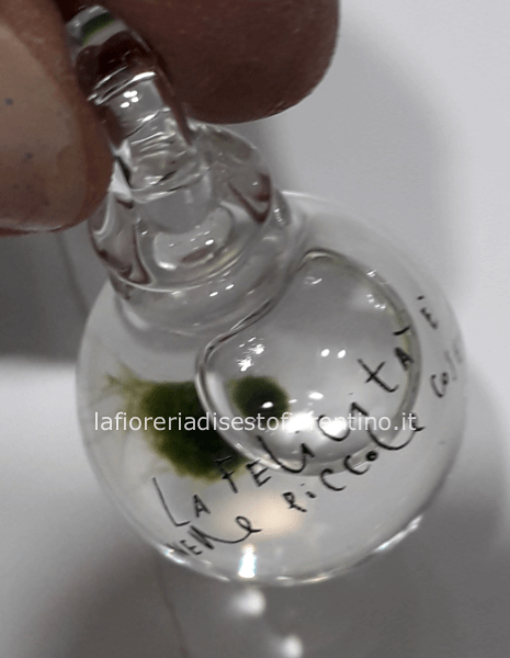 Collana con ciondolo Alga Palla Marimo